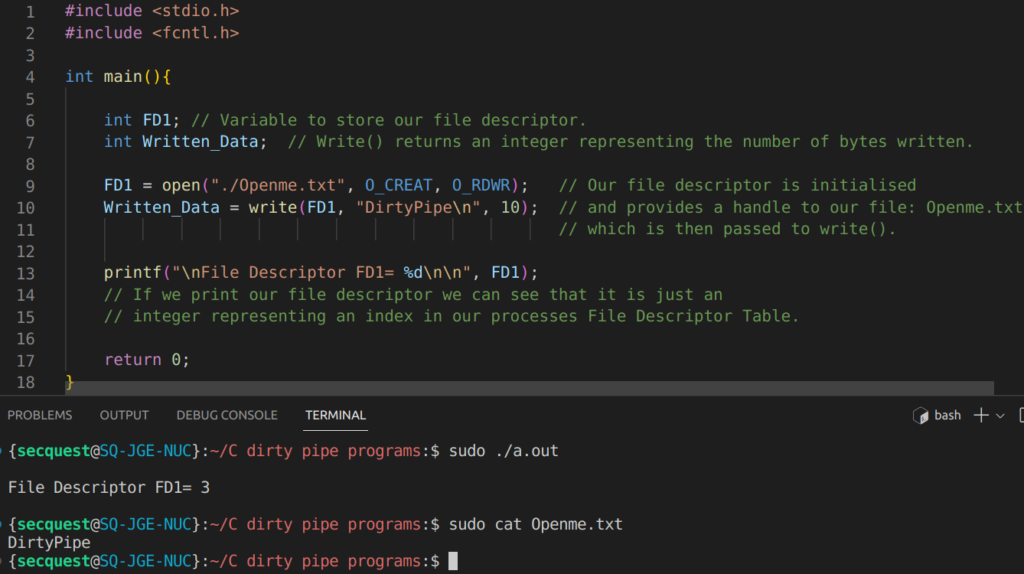 Code within a file descriptor